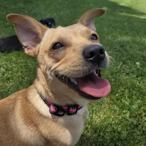Frida