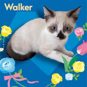 WALKER