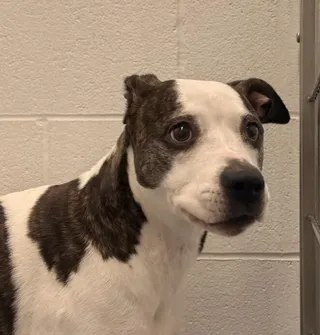 Nella