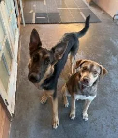 Katniss - sweet girl seeking a family