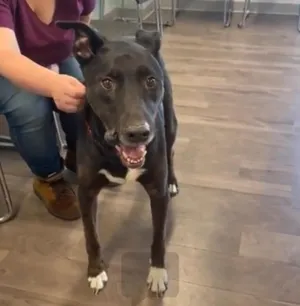 Max