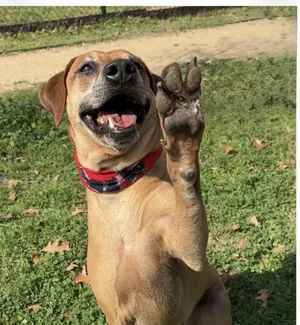 BEN- loves to shake hands