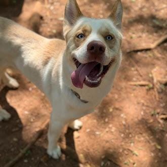 Max
