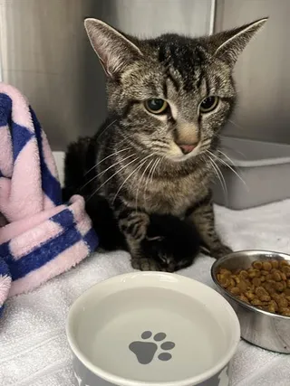 TUCKER*
