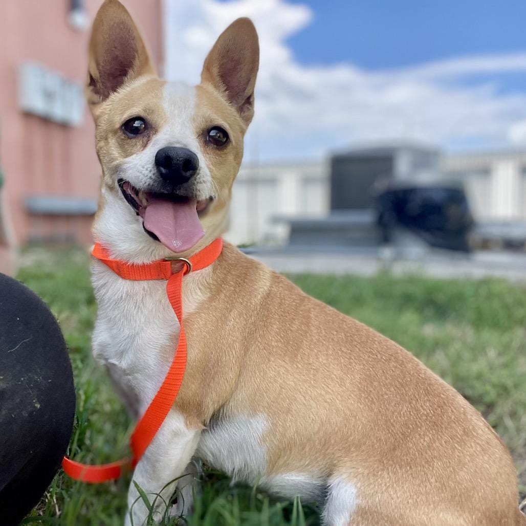 Lucy
