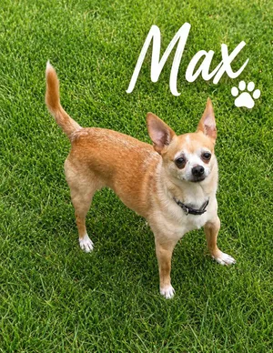 Max