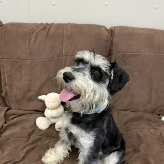 Oscar