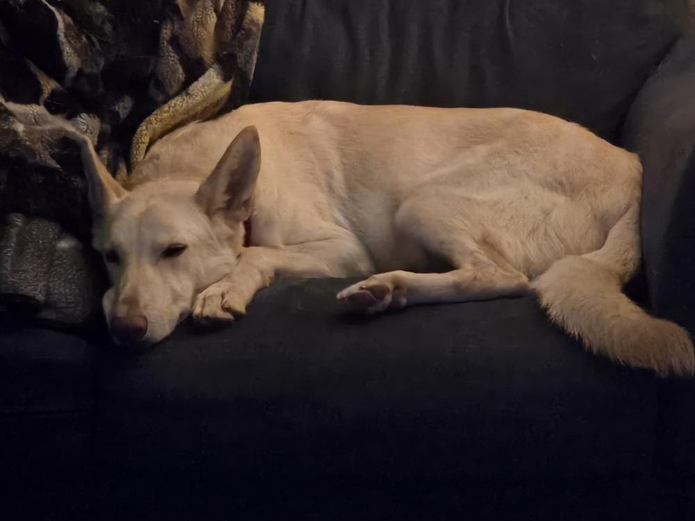 Lumi
