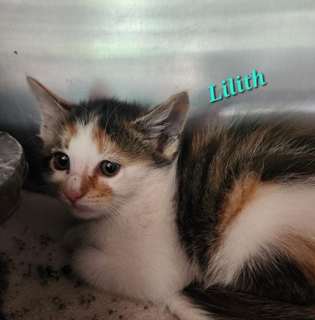 Lilith