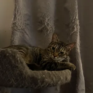 Eleanor