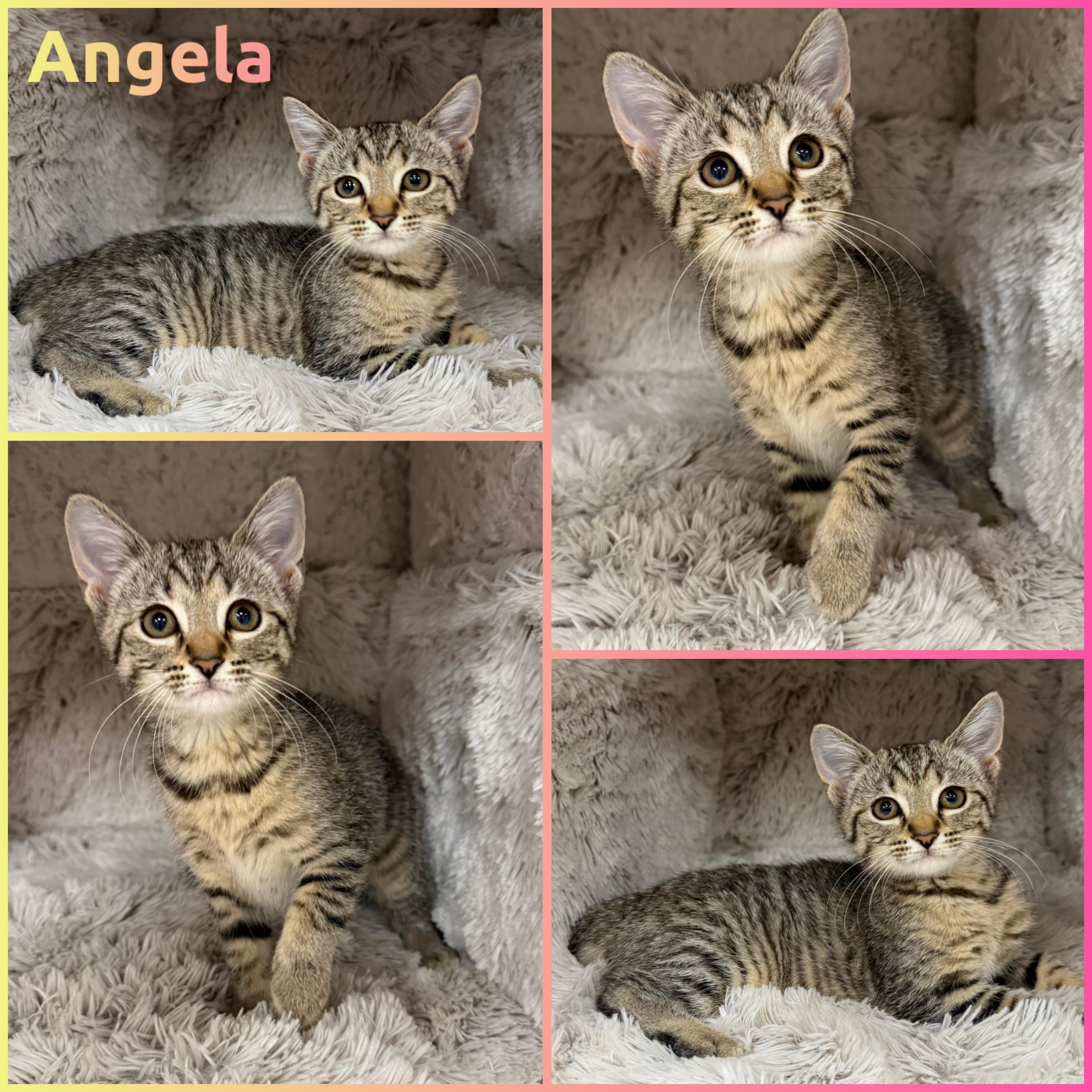 Angela