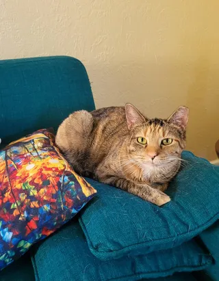 Bits