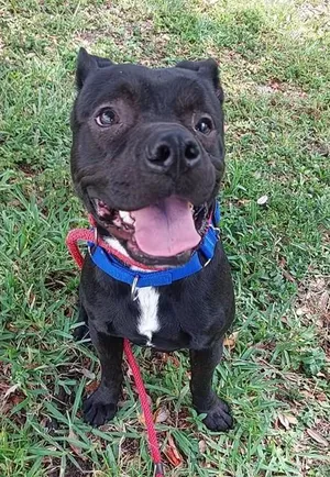 WILEY