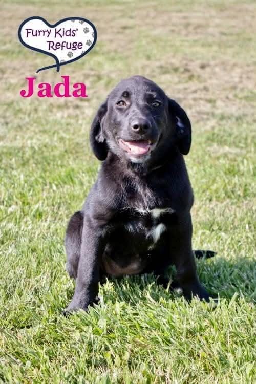 Jada