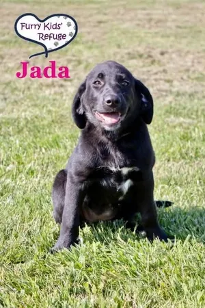 Jada