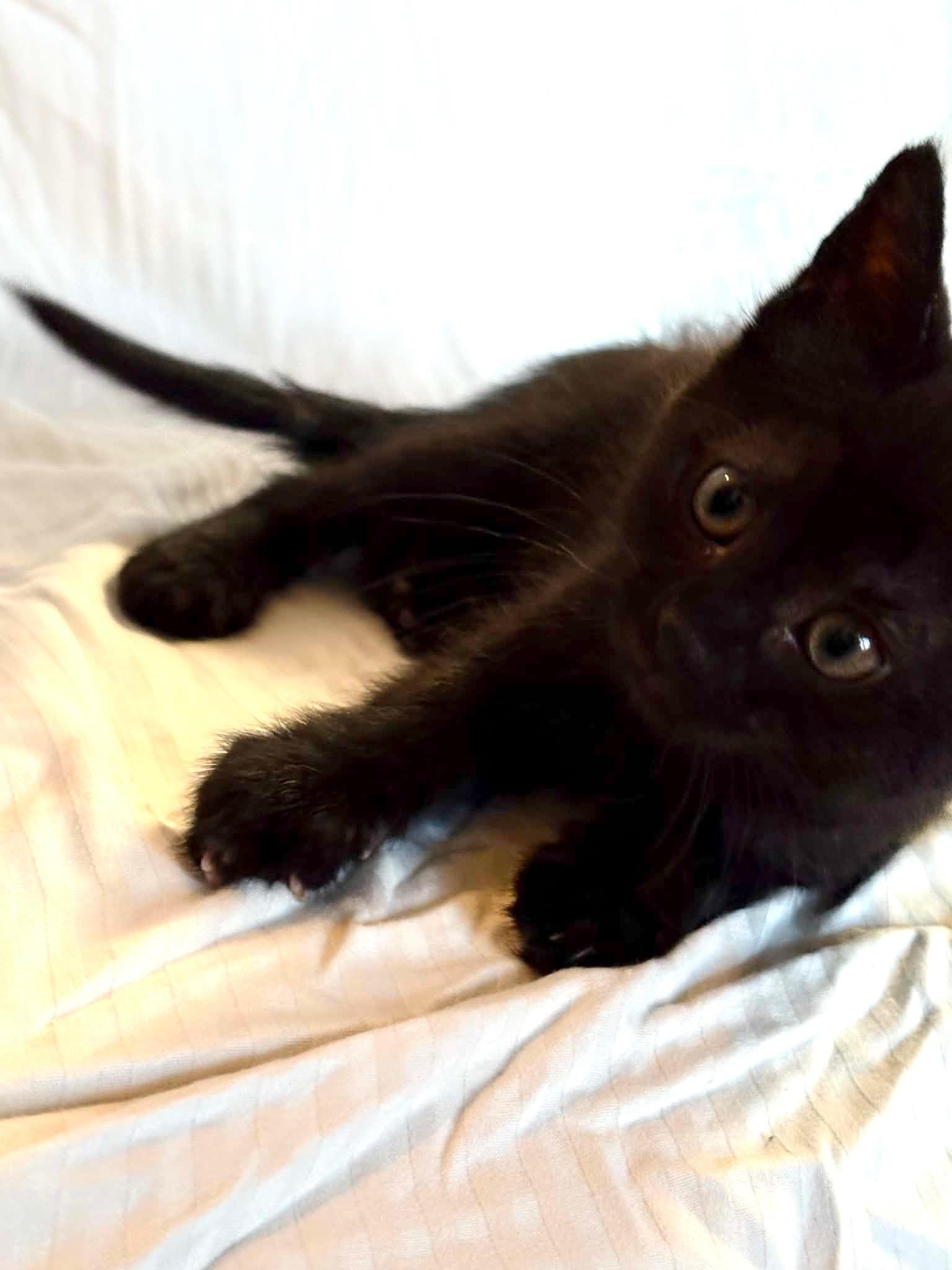 Luna