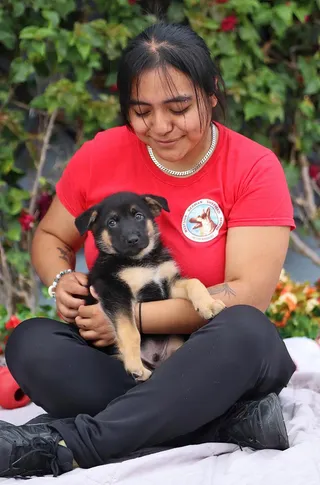 Nemo von Nala