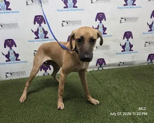 MIRACLE