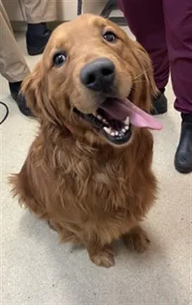 RUFUS