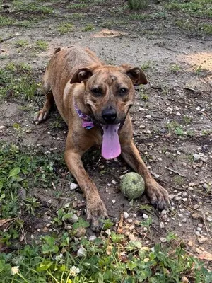 Penny