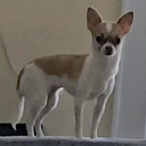 Kate