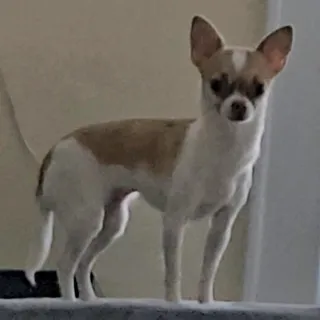 Kate