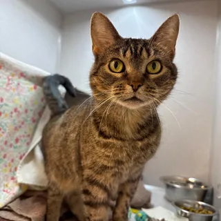 Mia