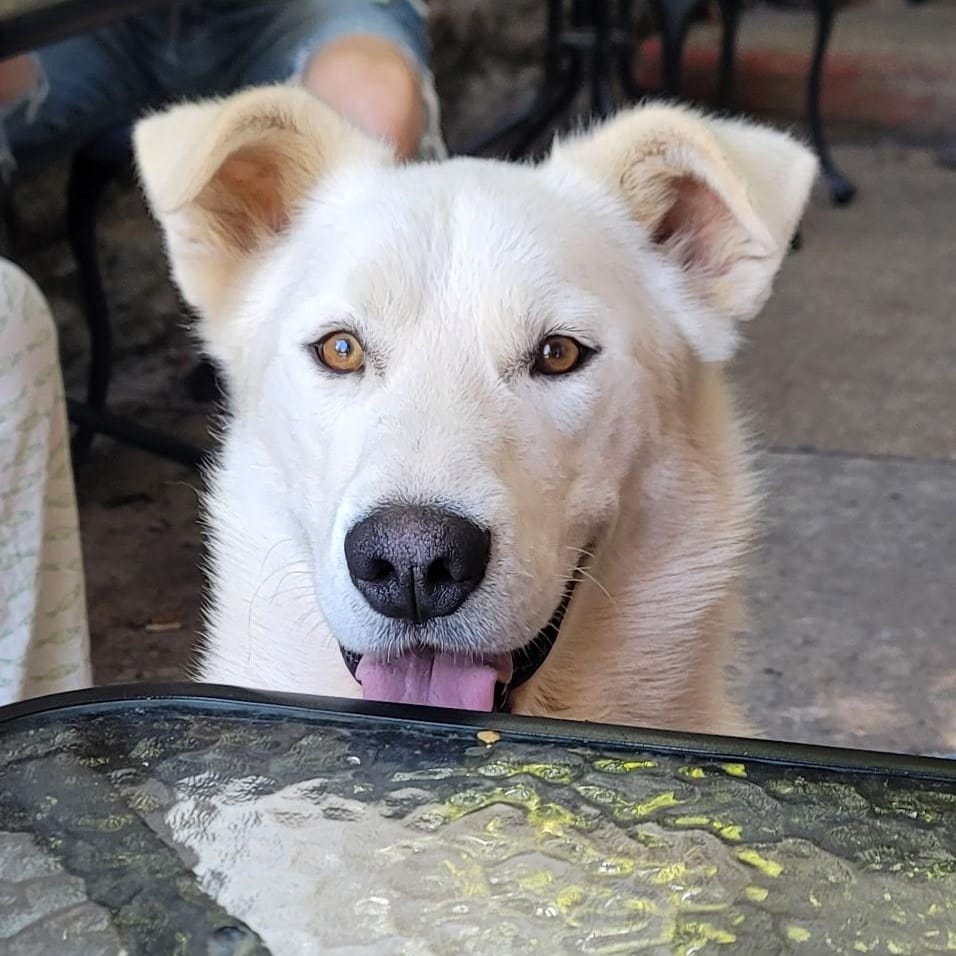 Max