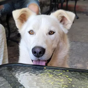 Max