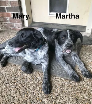 Martha