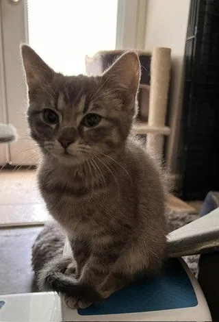 Kyah