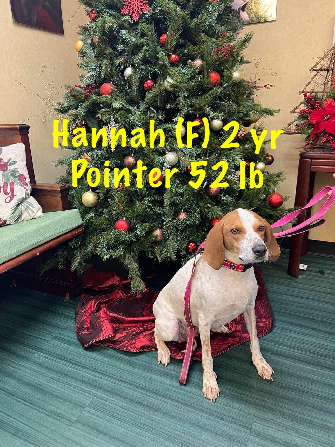 Hannah