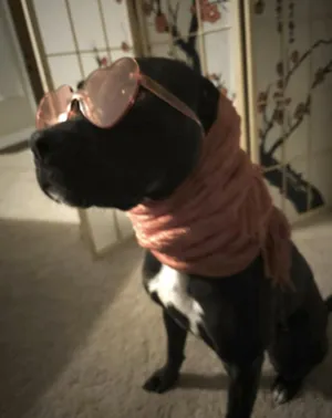 Lola