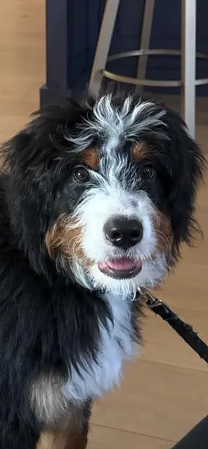 Otis