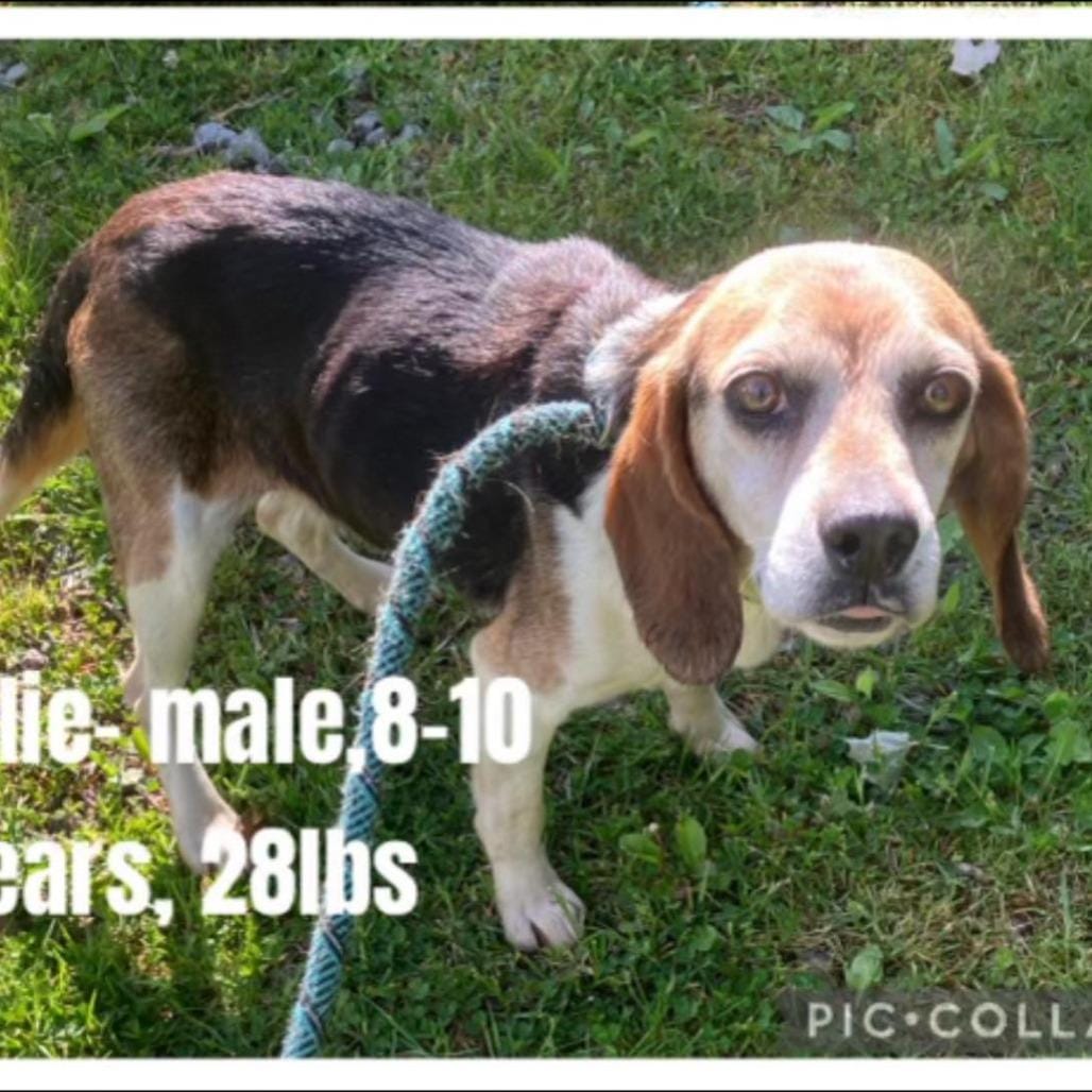 Charlie