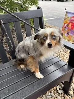 Max