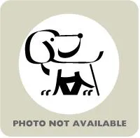 Winchester