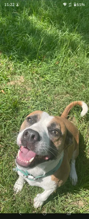 Chloe
