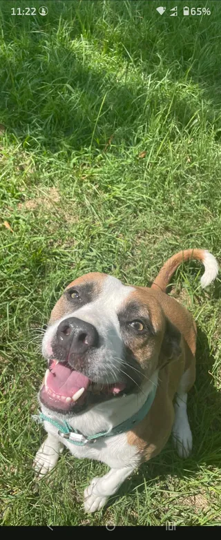 Chloe
