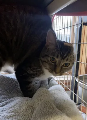 Precious
