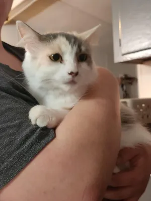 Rita