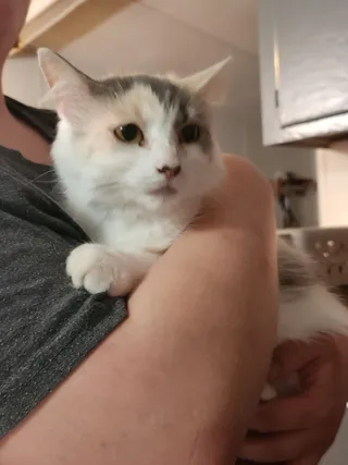 Rita