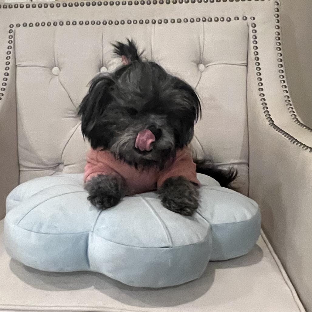 Lolita