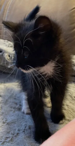 MJ