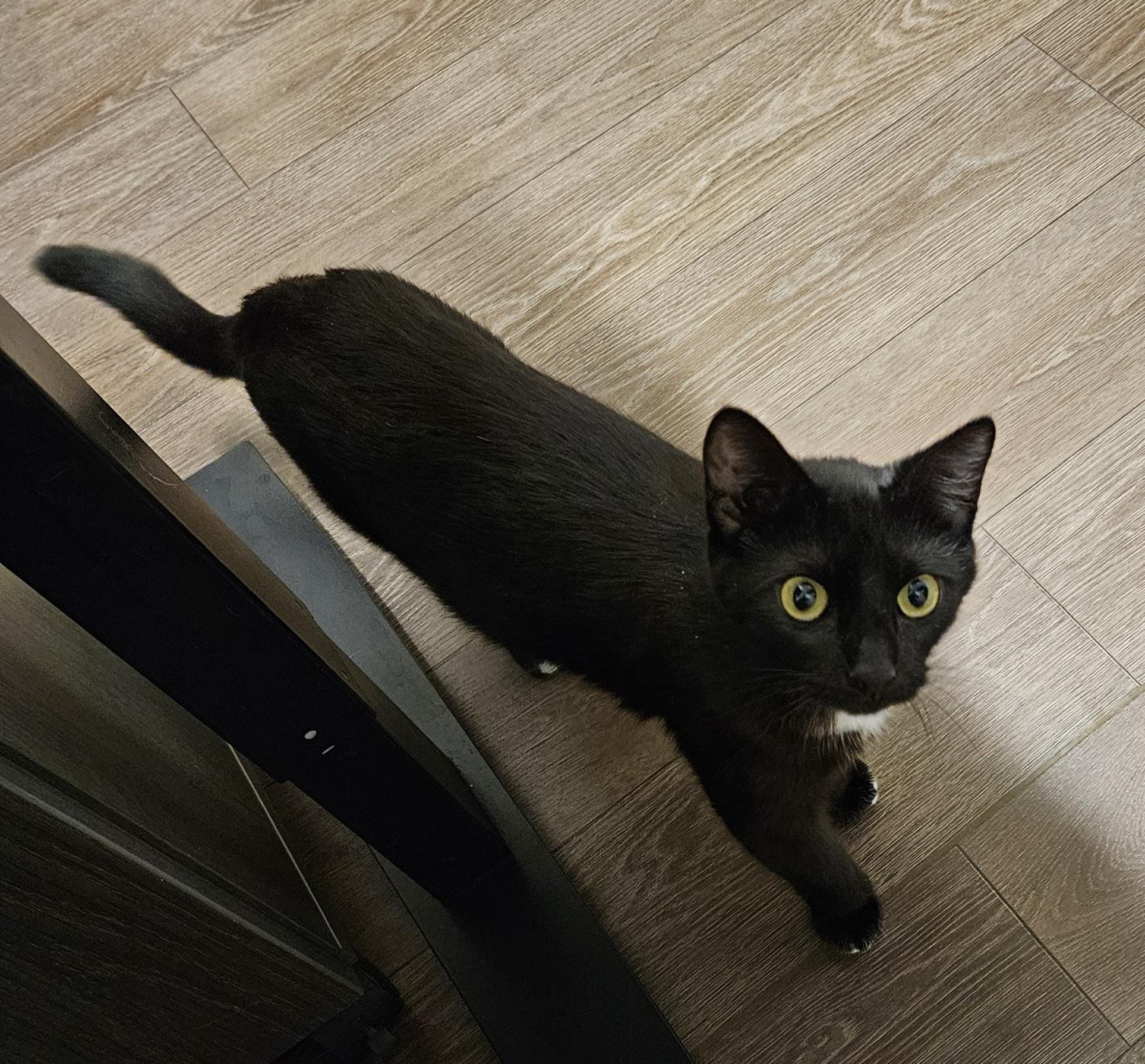 Nina