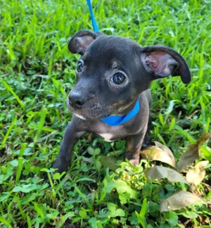 Theodore