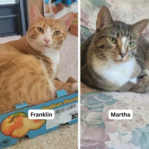 Martha / Franklin