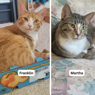 Martha / Franklin