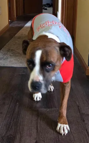 Bella B