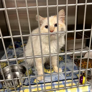Apollo in Hanover, PA
